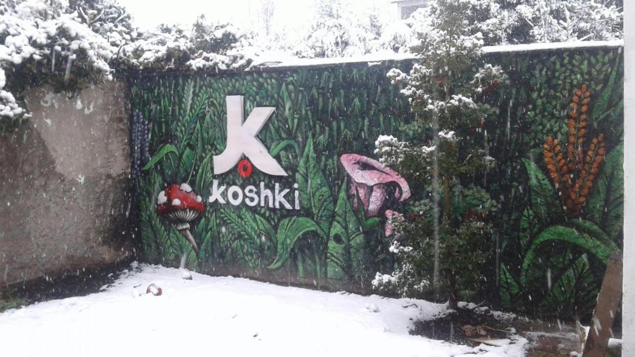 Albergue Kosh San Carlos de Bariloche Exterior foto